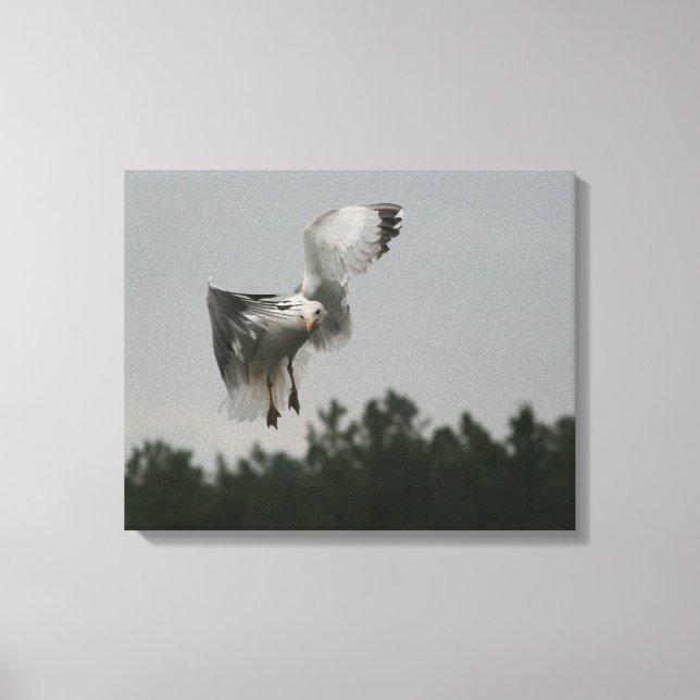 Toile Zig Zag Canvas Imprimer (Recto)