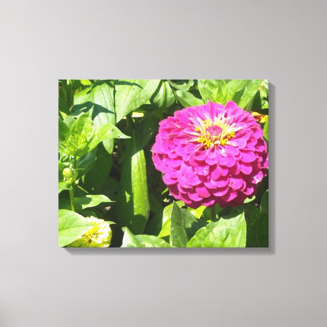 Toile Zinnia rose vif (Recto)