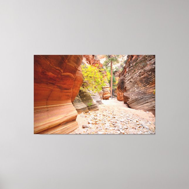 Toile Zion Canyon Slot (Recto)