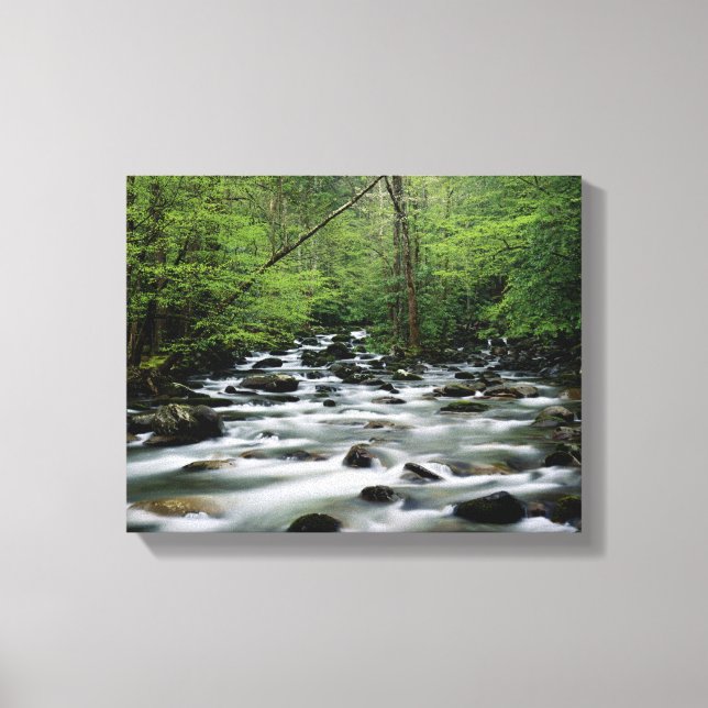 Toile Zone de Greenbrier, Great Smoky Mountains (Recto)