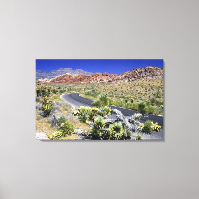 Toile Zone nationale de conservation de Red Rock Canyon, (Recto)