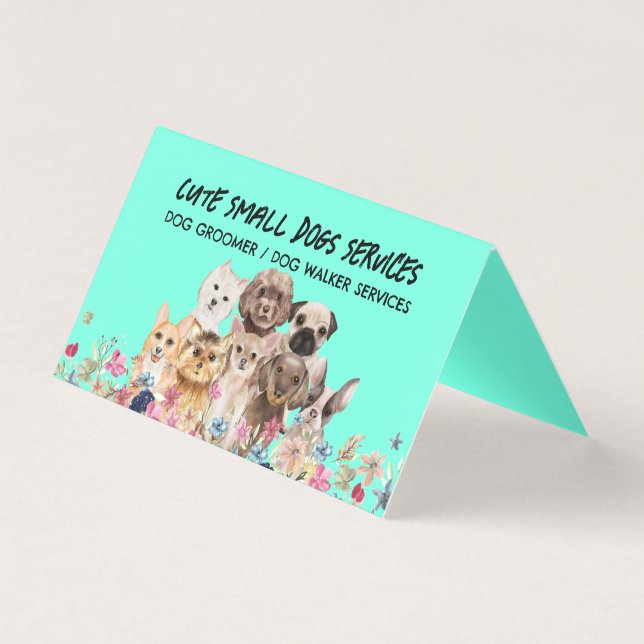 Toilettage de petits chiens verts gardien de compa (Front)
