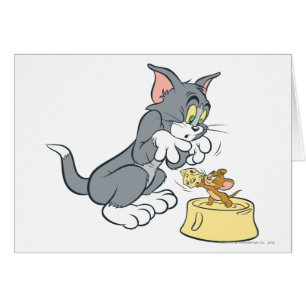 Tom et Jerry alimentent le chat