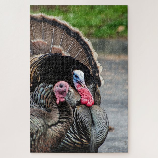 Tom la Turquie et son jeu de puzzle de poules 1000 (Vertical)