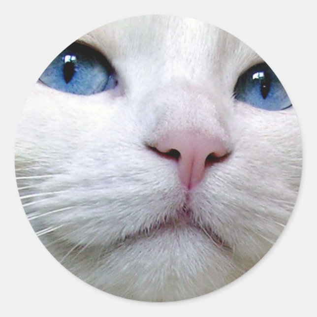 Tom Sticker (Devant)