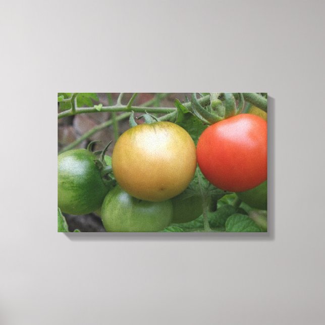 Tomates au feu tricolore Impression sur toile (Recto)