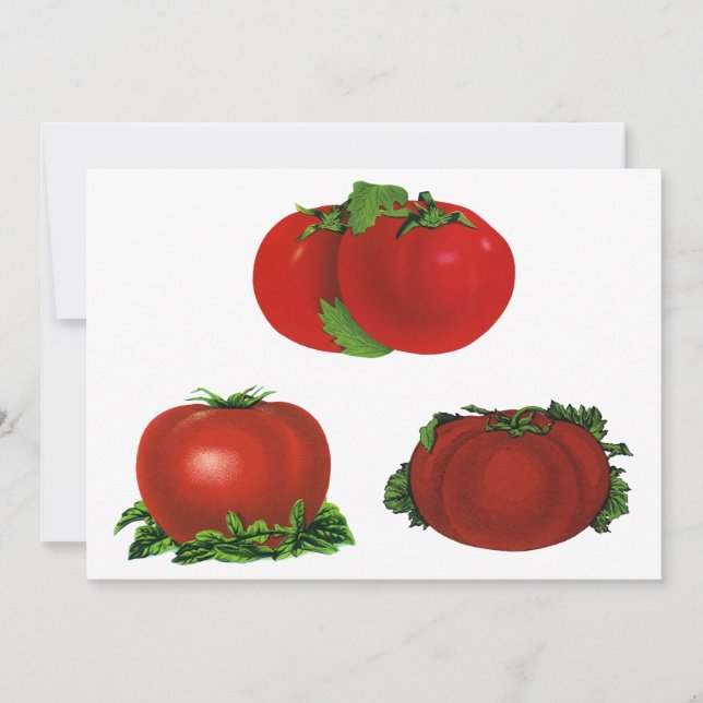 Tomates vintages rouges mûres Nourriture, Fruits,  (Devant)