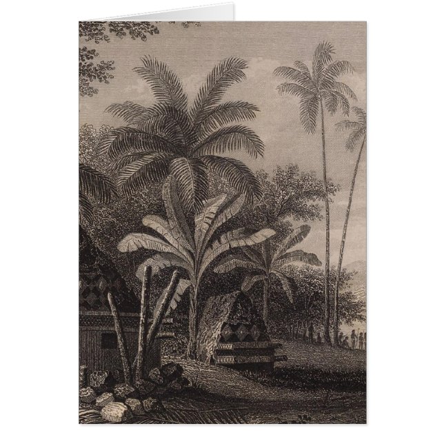 Tombeaux, Muthuata, Fidji (Devant)