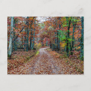 Tomber Sur La Carte Postale Dirt Road