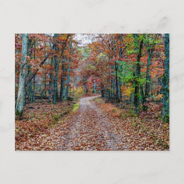 Tomber Sur La Carte Postale Dirt Road (Devant)