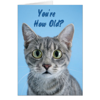 Ton âge ? -chat