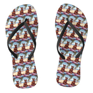 Tongs Abyssinian cat on Beach, cadeau d'été pour amoureu