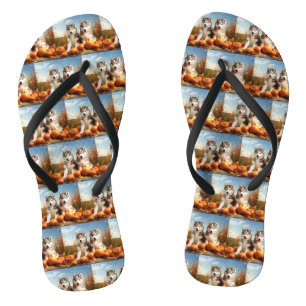 Tongs Alaskan Malamute Chiot Automne Citrouille délice