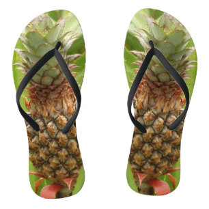 Tongs Ananas sauvage Fruit tropical dans la nature