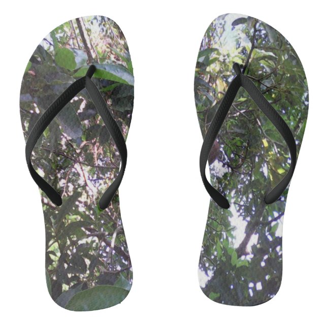 Tongs Arbre d'avocatier (Semelle)