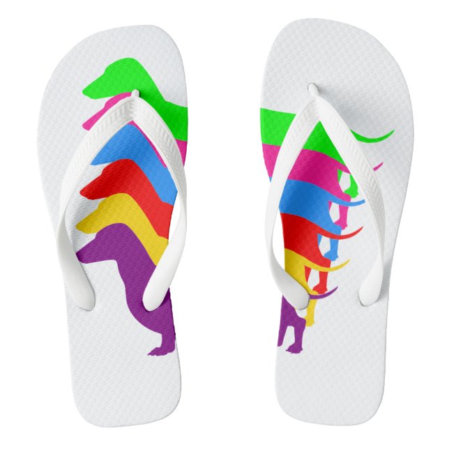 Tongs Arc-en-ciel Dachshund Flip Flops (Semelle)