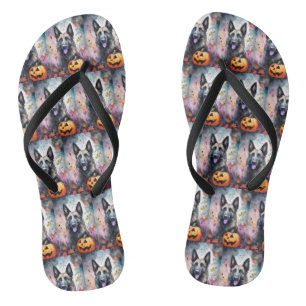 Tongs Berger belge Halloween avec citrouilles effrayant