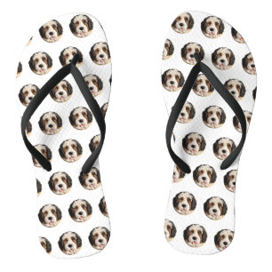 Tongs Bernedoodle Chien 3D inspiré