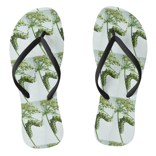 Tongs Black Swallowtail Caterpillar mangeant du persil (Semelle)