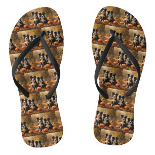 Tongs Border Collie Chiot Automne Délice Citrouille