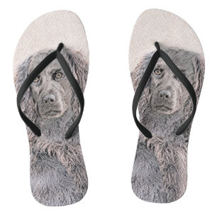 Tongs Boykin Peinture Espagnole - Cute Original Chien Ar