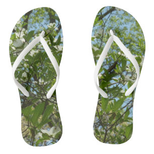 Tongs Branche of Dogwood Blossoms Spring Trees