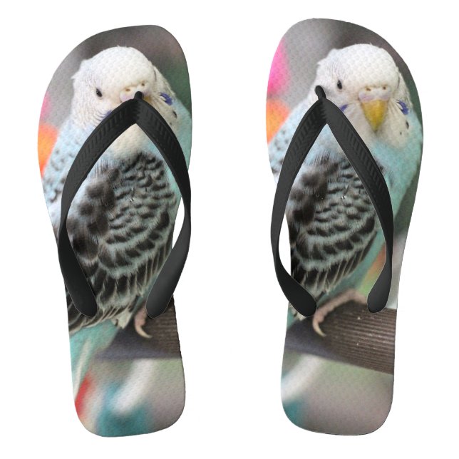 Tongs Budgie (Semelle)