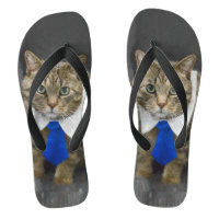 Chat tigré brun aux yeux verts mignon portant une