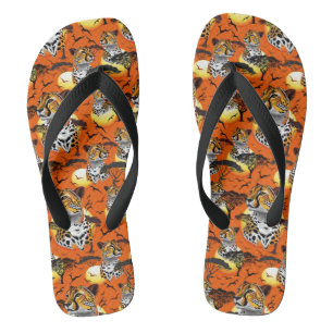 Tongs Cheetah African Feline Wild Animal