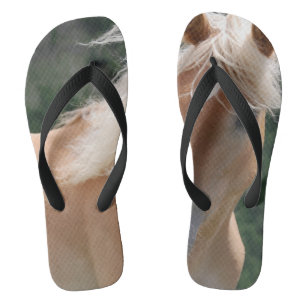 tongs _ cheval