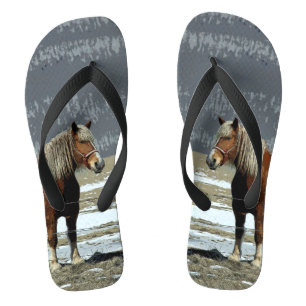 Tongs Cheval Belge En Paddock Flip Flops