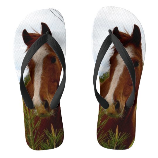 Tongs Cheval De Chataigne Reniflant Un Arbre De Banksia Zazzle Fr