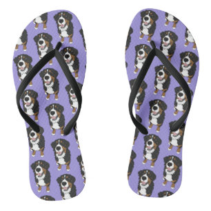 Tongs Chien de montagne bernois 