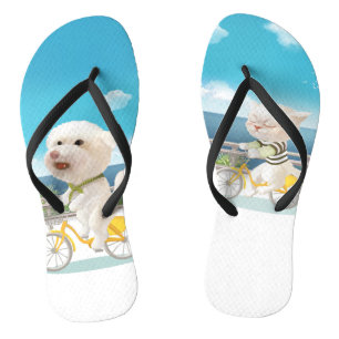 Tongs Chiens et chats Vélo en mer