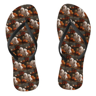 Tongs Chiot Bichon Frise Délice d'Automne Citrouille