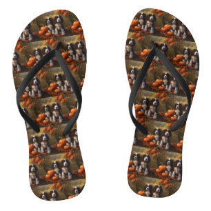 Tongs Chiots Springer Spaniel Délice d'Automne Citrouill