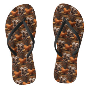 Tongs Chiots Weimaraner Délice d'Automne Citrouille