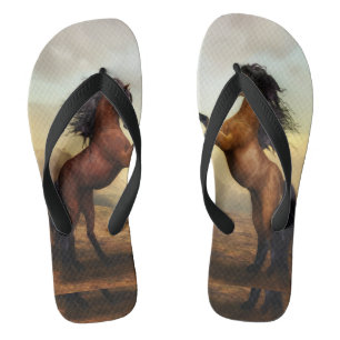 Tongs combat de chevaux