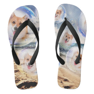 Tongs Corgis de sourire de plage