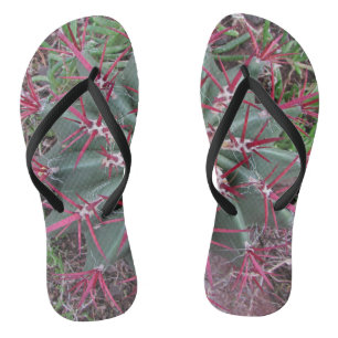 Tongs Cristal du désert Cactus Red Thorns Gros plan Phot