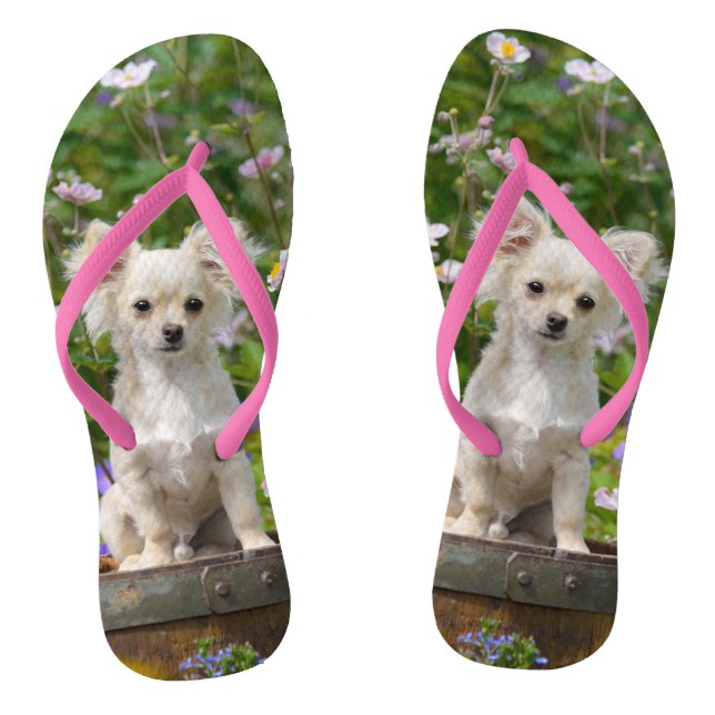 Tongs Cute crème aux cheveux longs Chihuahua Chiang Pupp (Semelle)