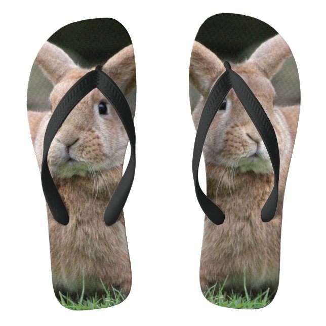 Tongs Cute lapin de gingembre avec de grandes oreilles (Semelle)