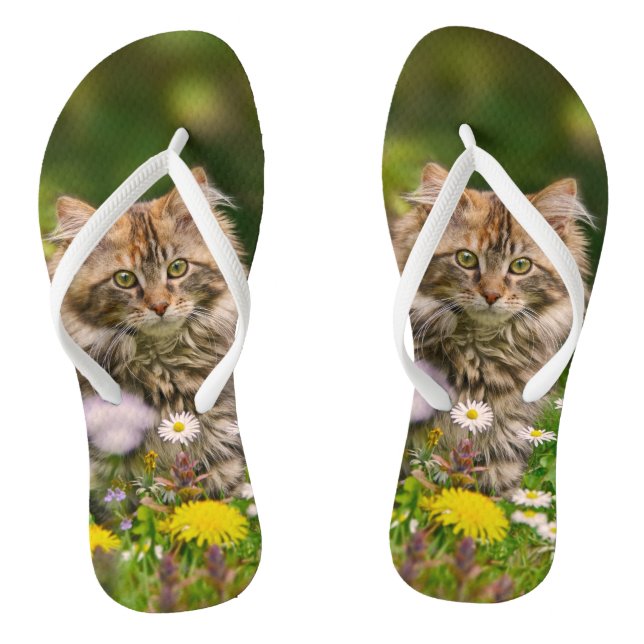 Tongs Cute Maine Coon Kitten Chat dans la prairie fleuri (Semelle)