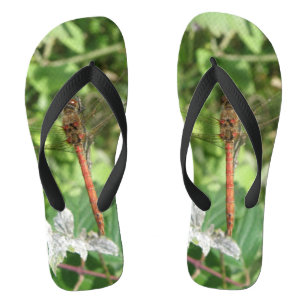 Tongs de Libellule Commune