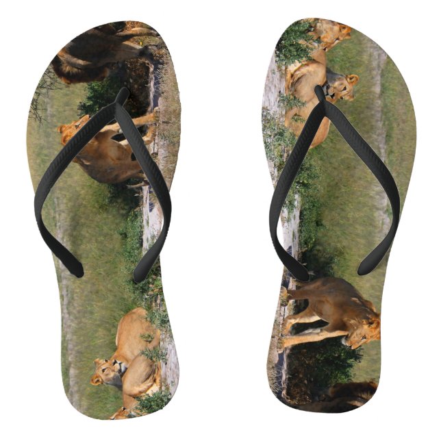 Tongs de Lions du désert du Kalahari (Semelle)