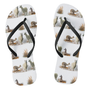 Tongs de Llama Meadow (choisir la couleur)