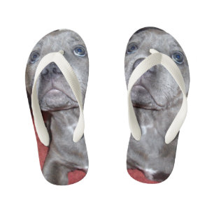 Tongs Enfants Staffy chiots yeux de Sooky,