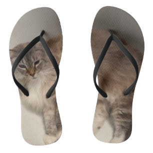 Tongs Feuilles de chats