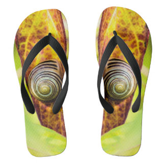 Tongs fixation calme