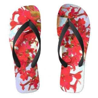 Tongs Fleurs rouges de Kalanchoe